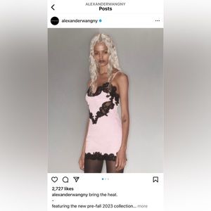 Alexander Wang Pink Cami Minidress